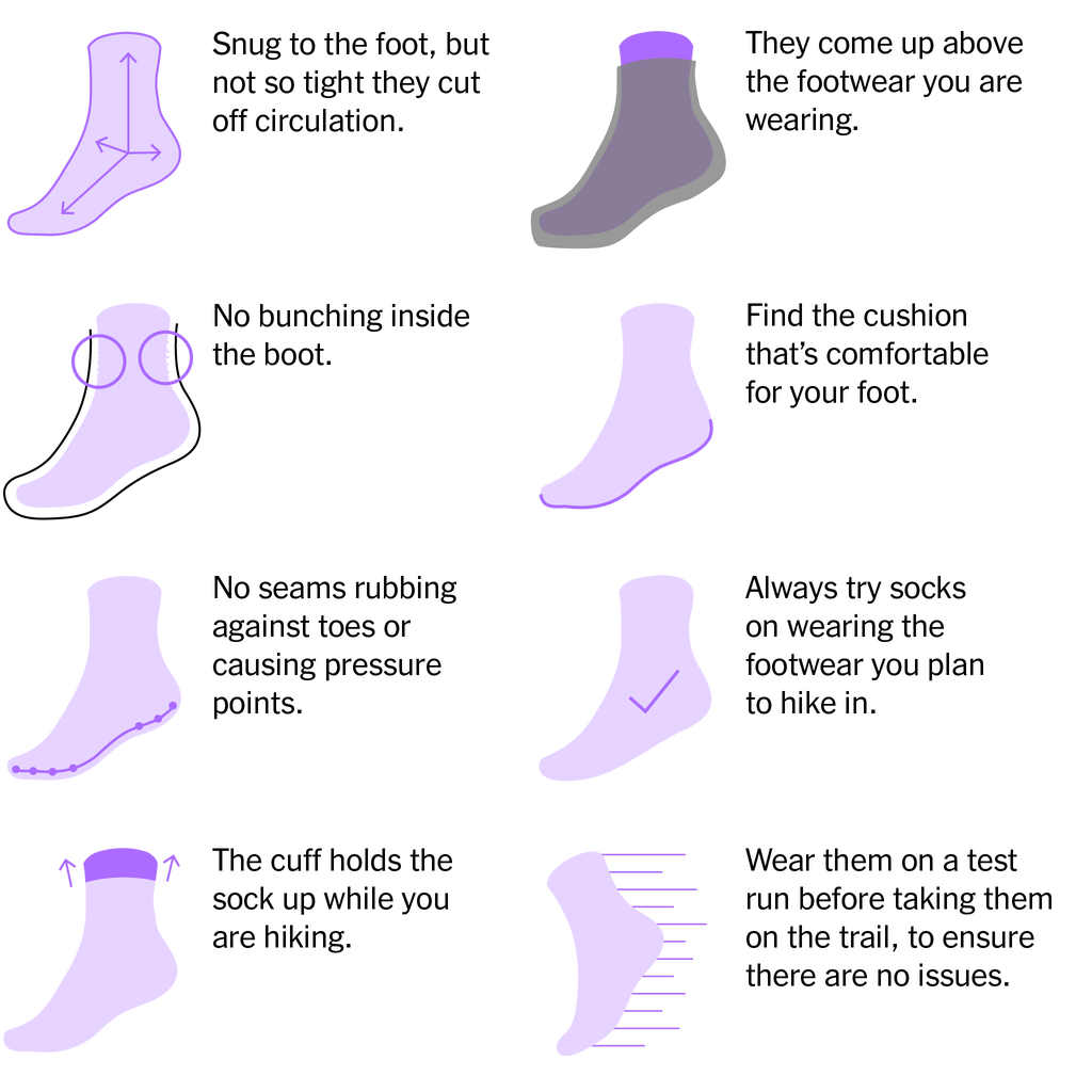 A graphic diagram labeling the key features of a well-fitted sock including the toe seam and arch support.