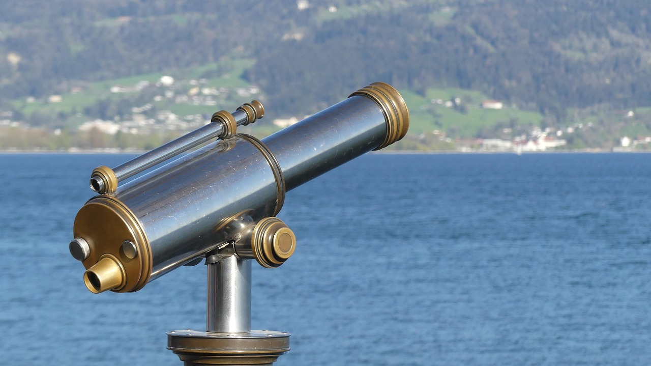 8x42 binoculars are the industry standard for clear, bright wildlife viewing.