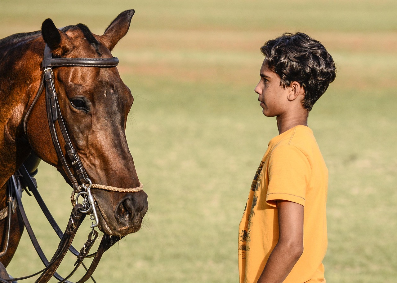 Action shot of a polo match with high-society spectators in the background.