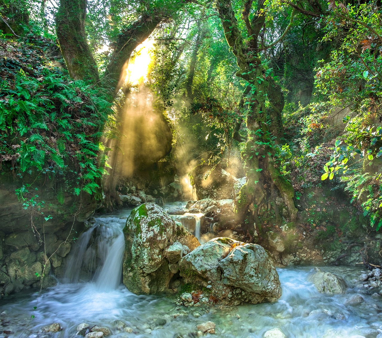 The Hoh Rainforest provides a magical, prehistoric atmosphere unlike anywhere else on the coast.