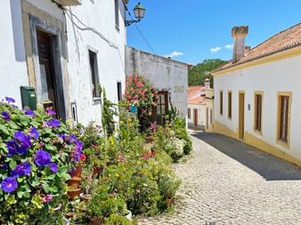 A narrow cobblestone street in Aljezur lined with white-washed houses and traditional Portuguese architecture.