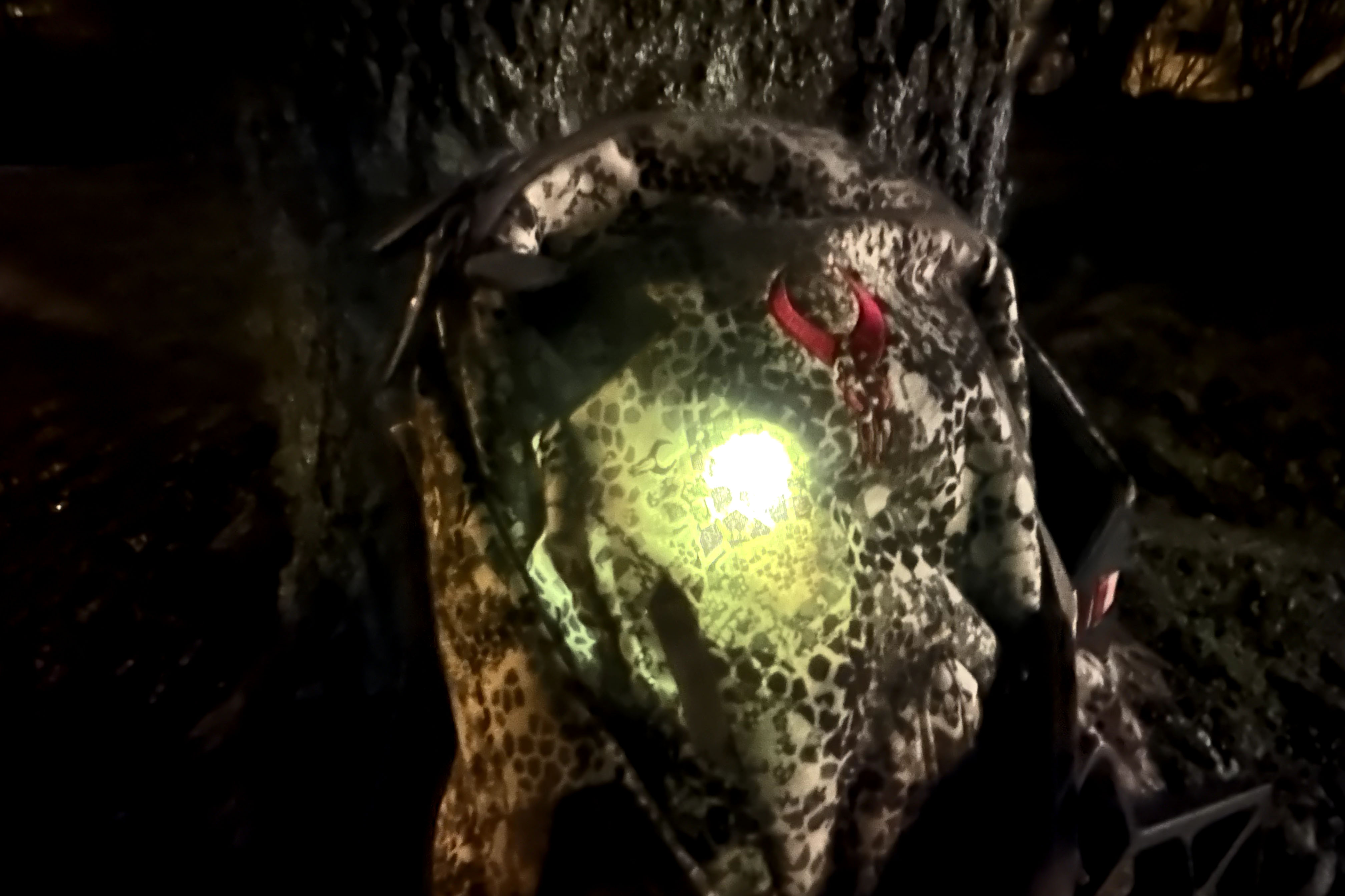 A headlamp glowing inside a closed backpack, showing how it can turn on accidentally.