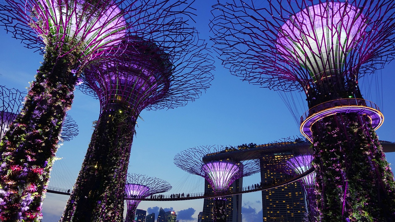 The Supertrees at Gardens by the Bay are more than just art; they harvest solar energy and vent air for conservatories.