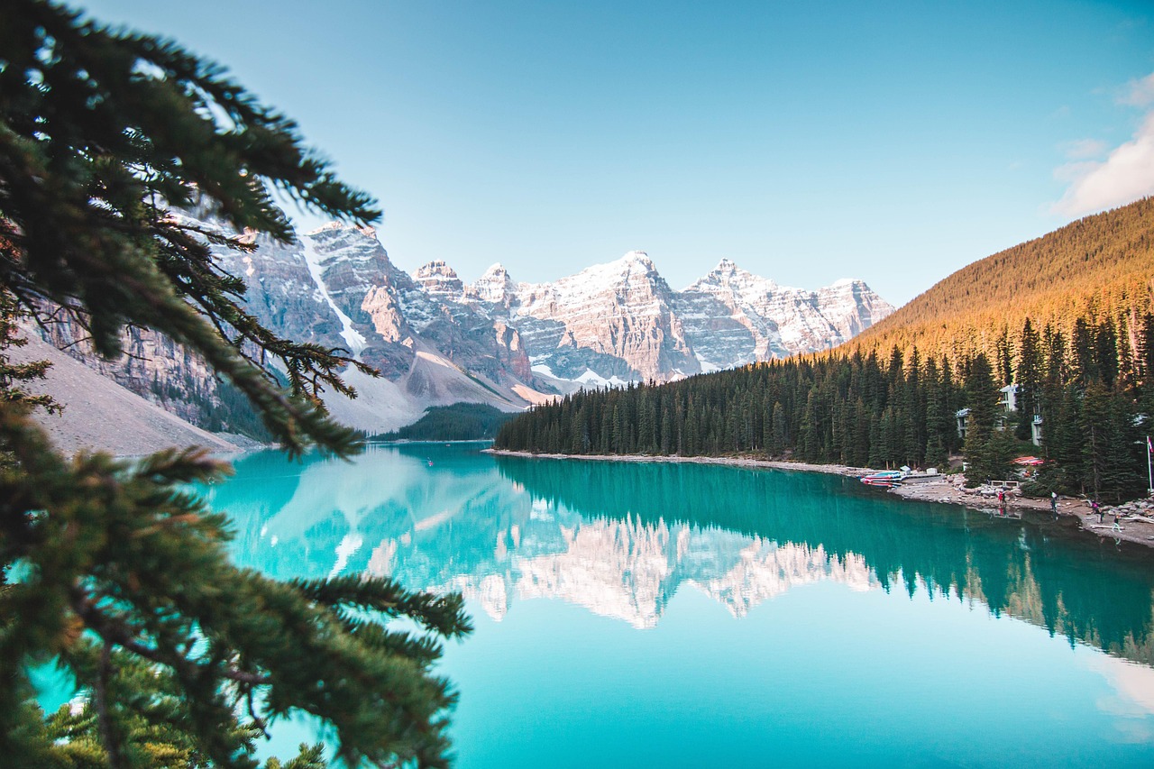 The golden larches of the Canadian Rockies offer a spectacular contrast against the turquoise waters of Banff.
