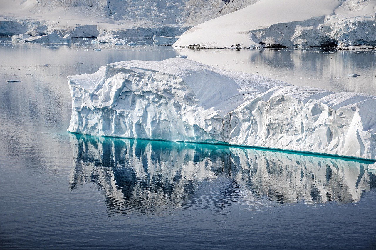 Expedition cruises are designed for the adventurous, reaching the most remote and pristine environments on Earth.