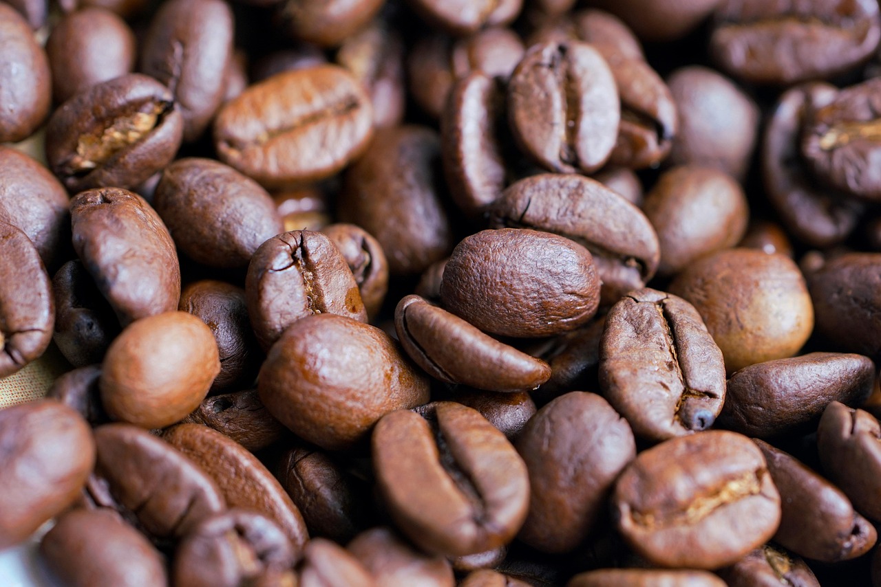 10 Best New Books to Read This Fall 2024: A Curated Travel-Inspired List