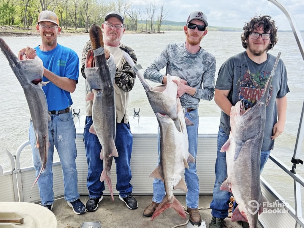 Four men proudly displaying their paddlefish catches on a boat.