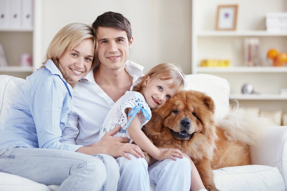 A mother, father, and daughter sitting on a white sofa with a Chow Chow dog, all wearing light-colored cotton and knit clothing.