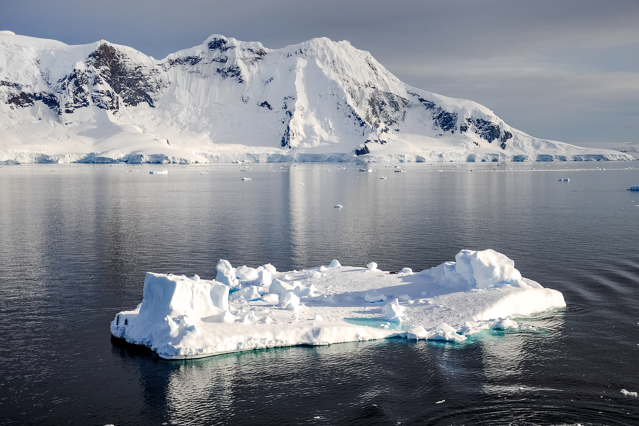 Antarctic expeditions offer a rare glimpse into the world's most remote icy wilderness.