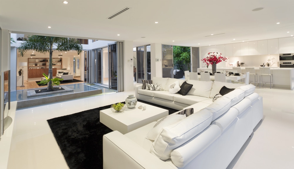 Sleek all-white modern living room with a contrasting black rug and indoor palm tree.