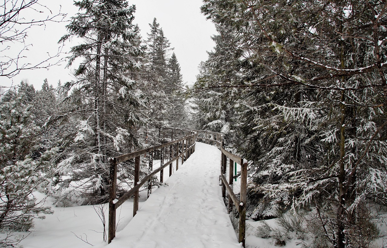 On Miscou Island, the ground itself turns flaming red as the peat bogs reach their peak color.