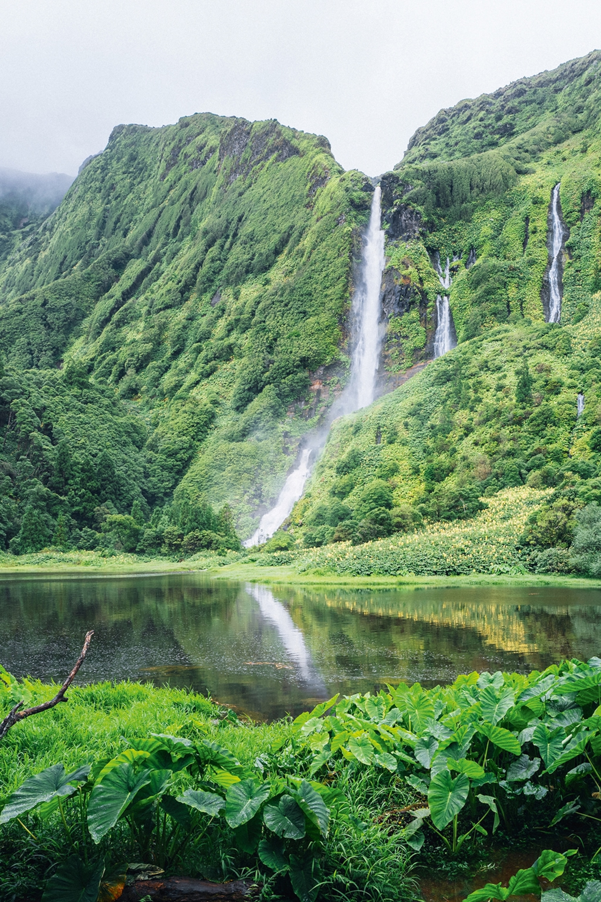 A large, powerful waterfall cascading through a lush green wilderness.