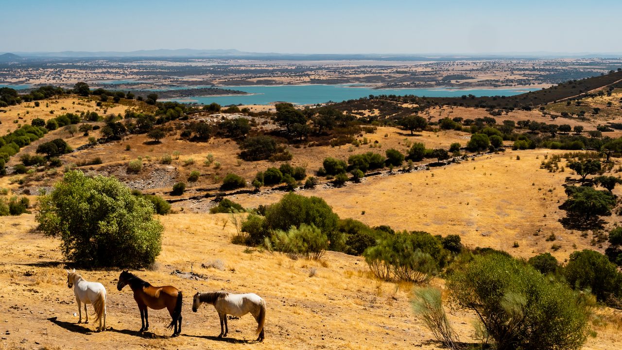 Why the Fisherman's Trail is the Ultimate Alternative to the Camino de Santiago
