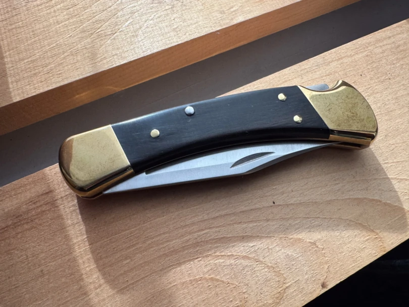 The Buck 110 knife in a closed position, highlighting the dark ebony wood handle and shiny brass bolsters.