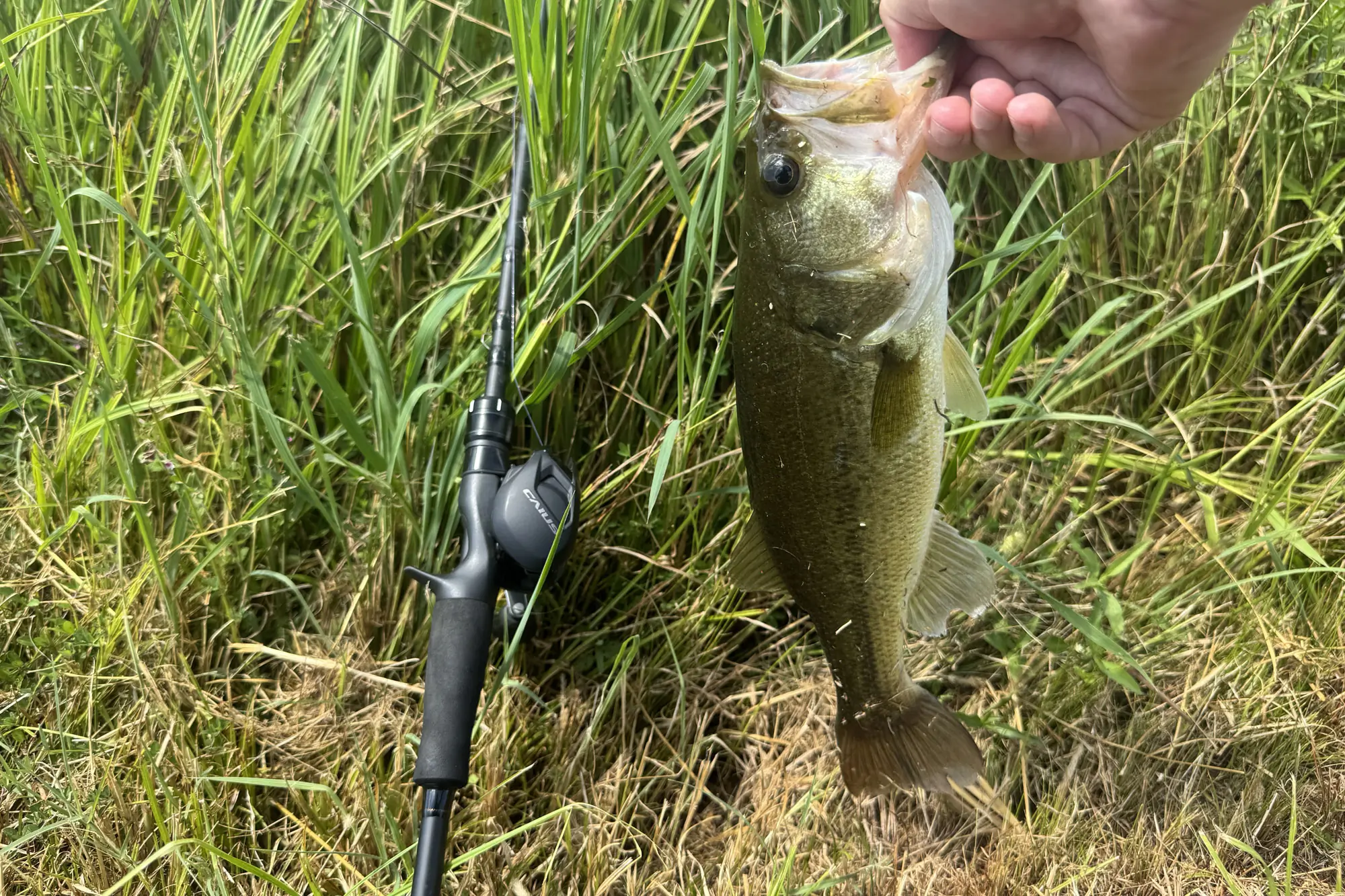 The Shimano Caius casting combo lying on a deck next to a large freshly caught fish.