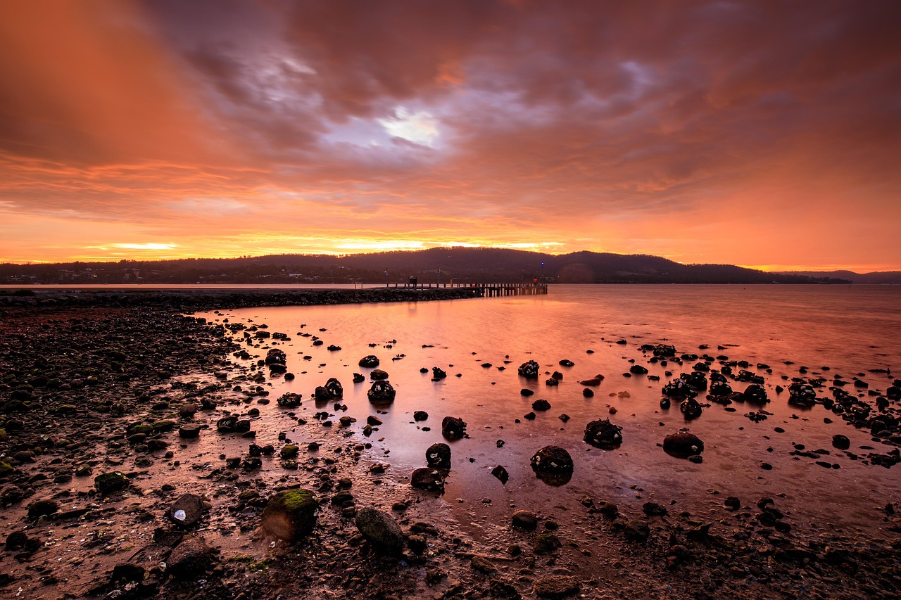 The wukalina Walk is more than a hike; it is a spiritual reconnection with one of the oldest living cultures on Earth.