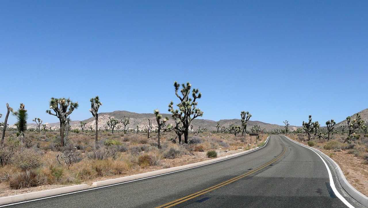 The otherworldly landscape of Joshua Tree is a playground for photographers and hikers alike.