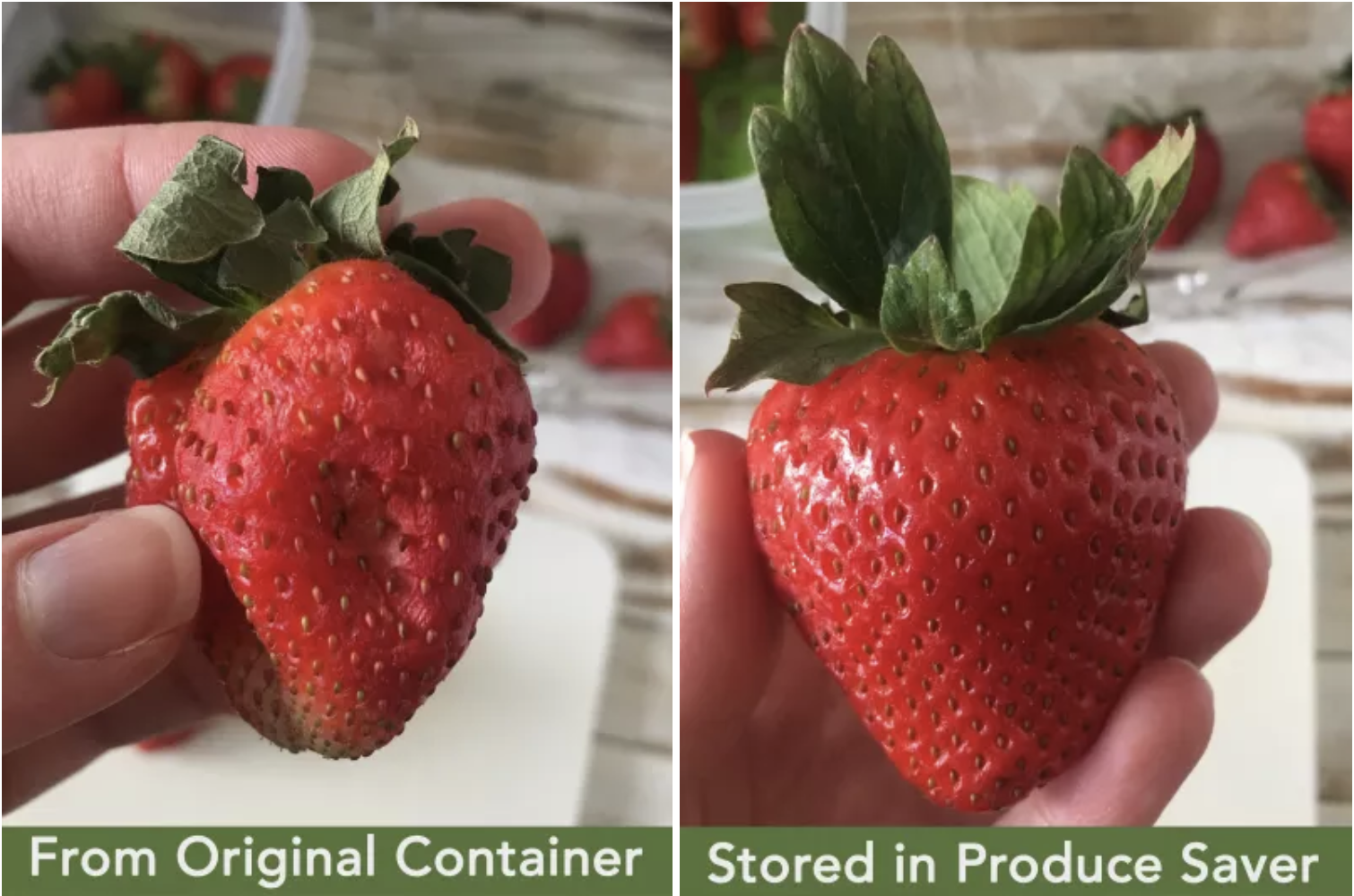 A comparison of strawberries showing one fresh in a specialized container and one moldy in a standard clamshell.