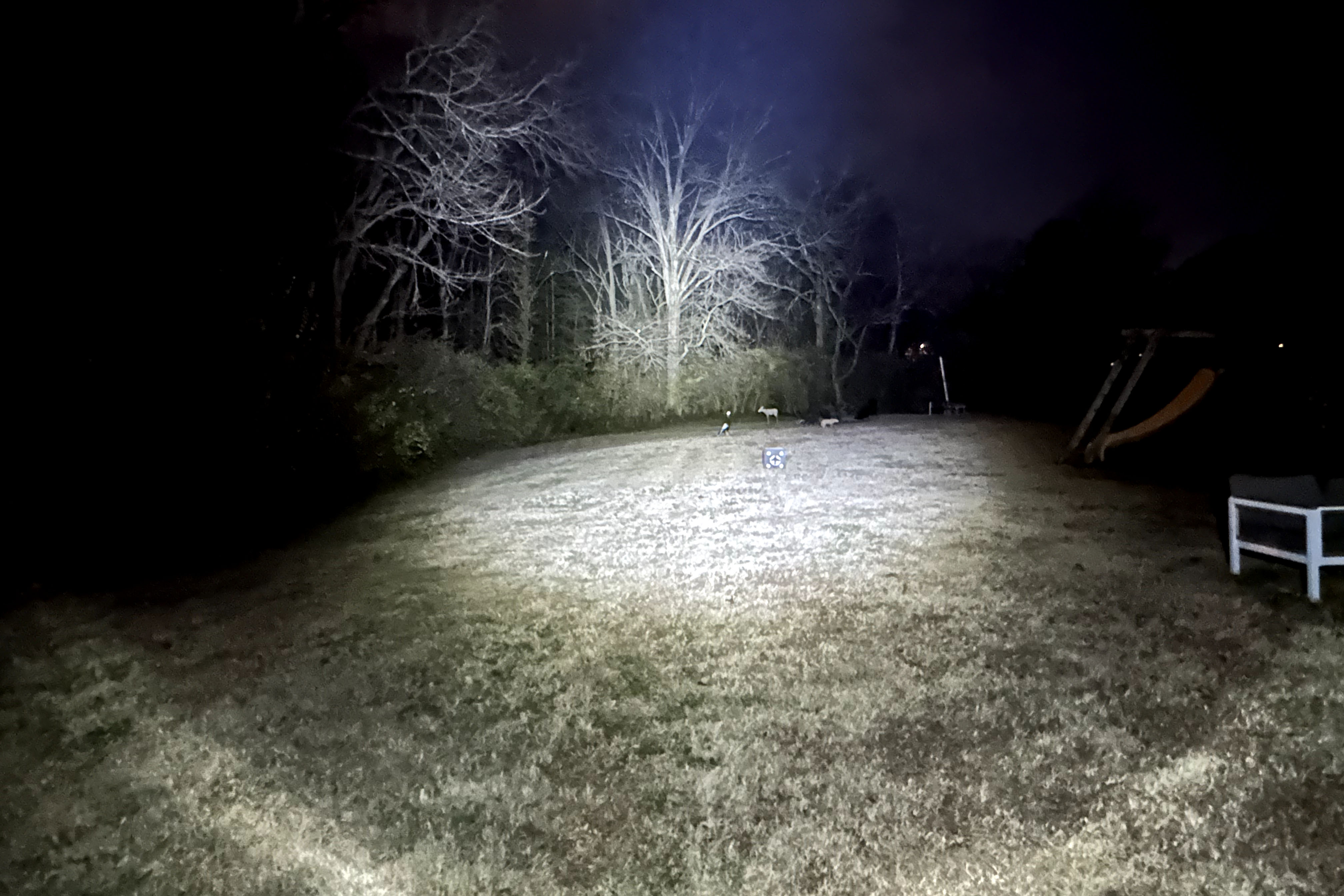 Night photography of archery targets in a backyard brightly illuminated by a headlamp beam.