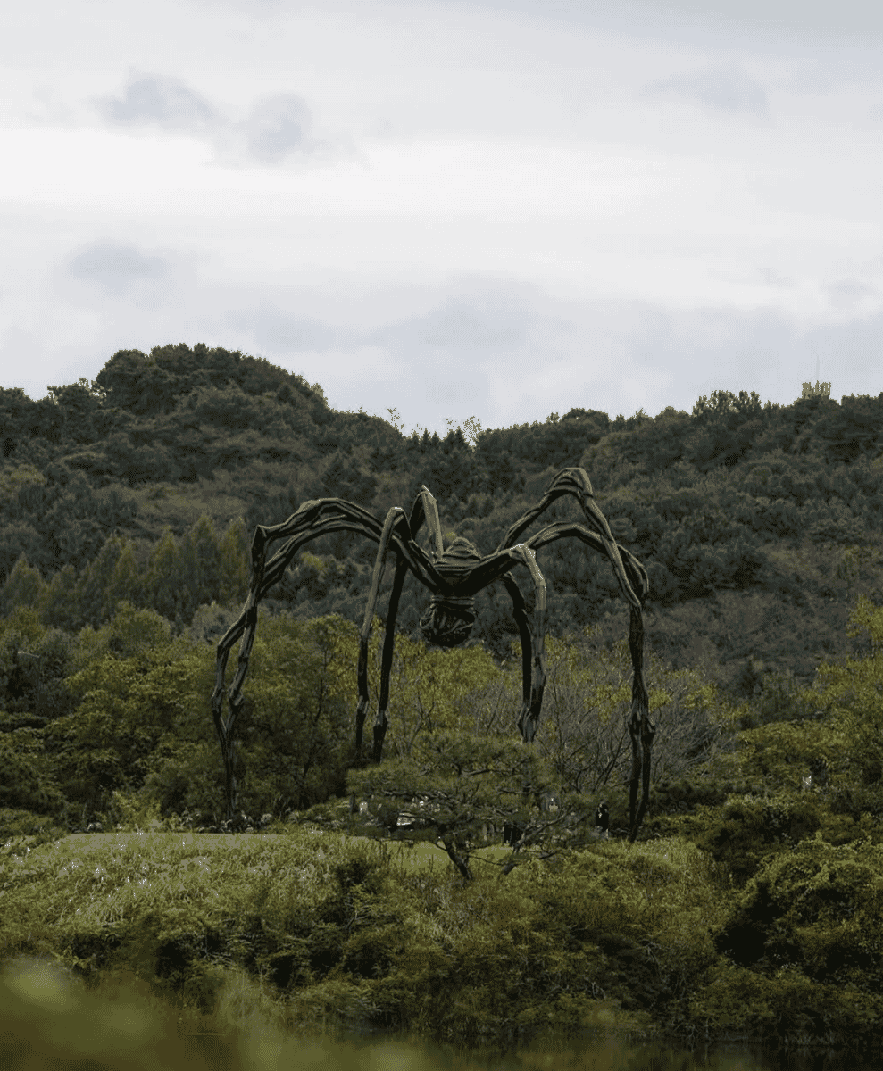 A massive black metal spider sculpture in a lush green park setting under an overcast sky.